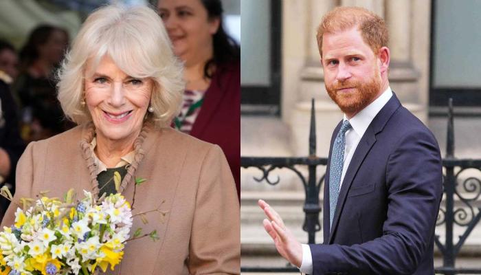 Queen Camilla receives delightful honour after key decision in Harry rift