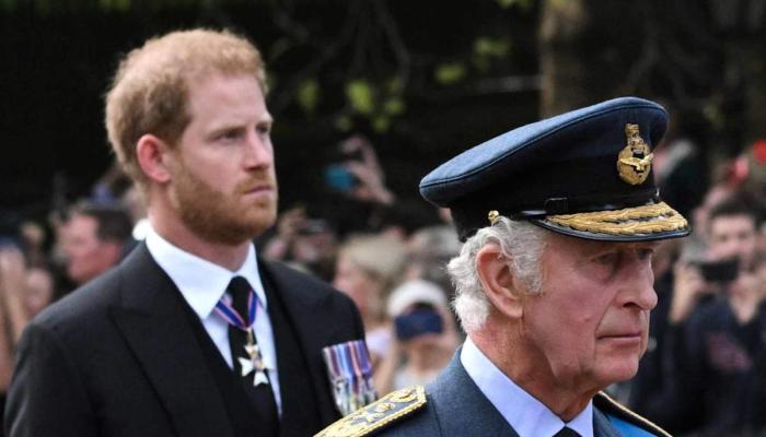 Prince Harrys surname bombshell prompts call for King Charles to cut ties