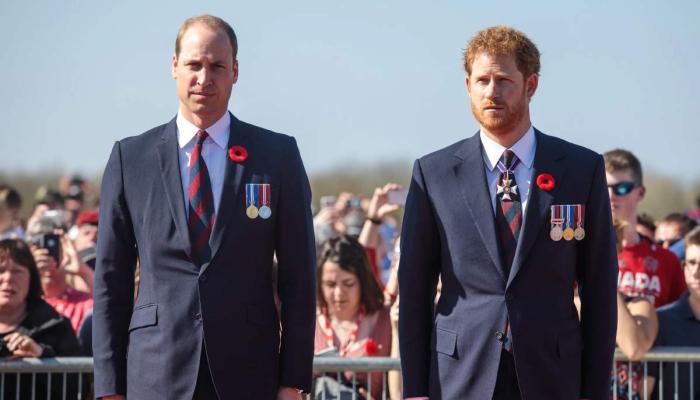 Prince William and Prince Harrys bond reduced to just two words, expert claims