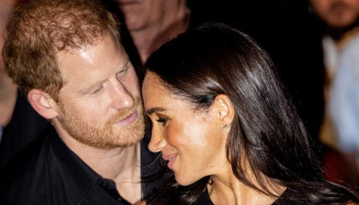 Meghan Markle recently posted an Instagram video showing Harry playing with Archie and Lilibet