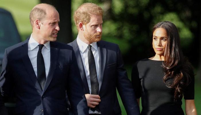 Prince William knew Meghan Markles true intentions from the start, expert reveals