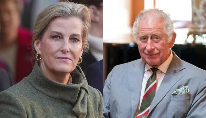 Duchess Sophie delivers King Charles key message at sombre event