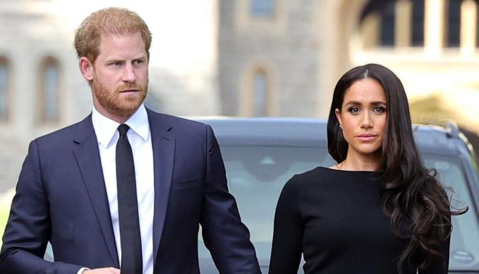Meghan Markle never intended to stay in the royal family, used Harry as a stepping stone