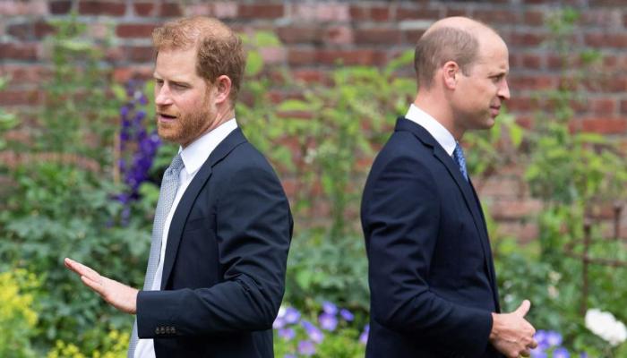 Prince William has no time for Harrys grievances after peace summit