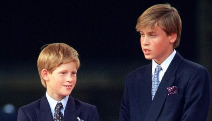 Why Prince Harry and Prince William were never really close, even as kids