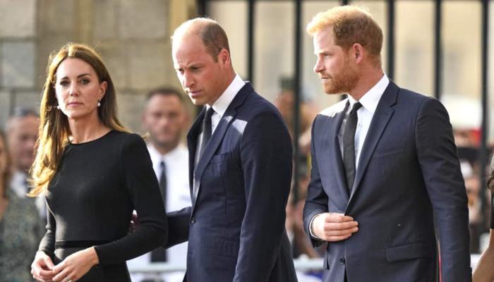 Prince William will never forgive Harry for insults directed at Kate Middleton