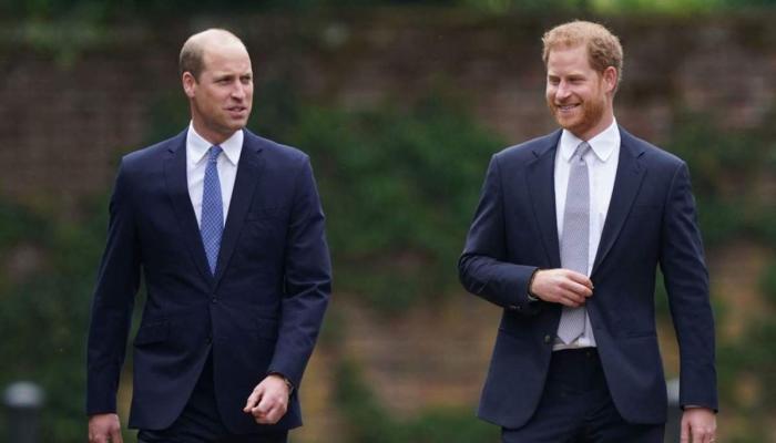 Prince Williams pal reveals why hes keeping distance from Harrys peace summit