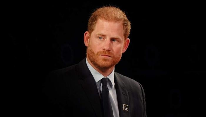 Whats next after Prince Harrys secret talks? Palace source reveals