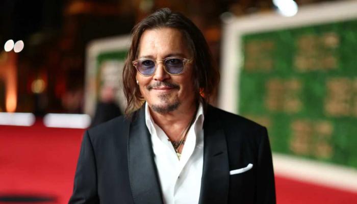 Johnny Depp attempts to rekindle with ex-girlfriend?
