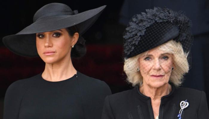 Meghan Markles pals set the record straight about cryptic Queen Camilla post