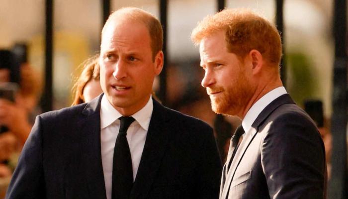 Death in family: Prince William, Harry suffer personal loss