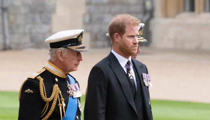 Why Prince Harrys olive branch to King Charles could be a strategic play