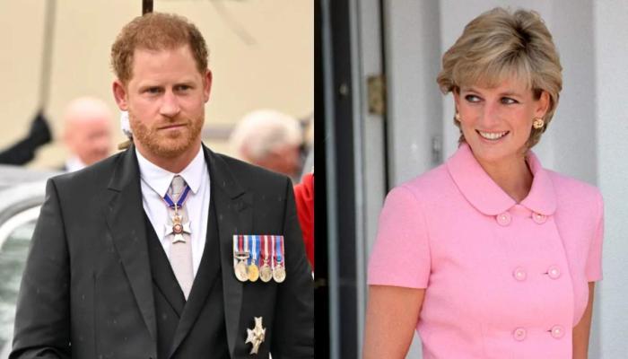 Princess Diana didn’t turn ‘pain into profit’ unlike Prince Harry: expert