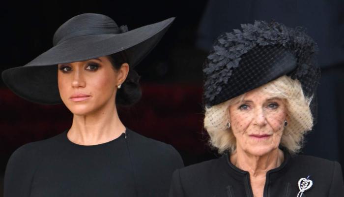 Why Meghan Markle can’t rebuild public image, unlike Queen Camilla