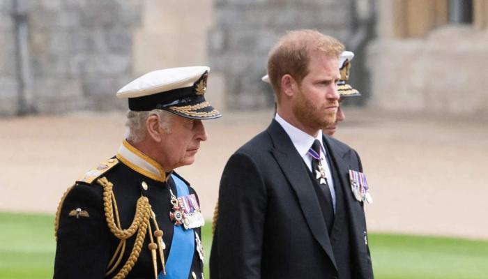 King Charles reportedly avoiding stress of Prince Harry reconciliation: expert