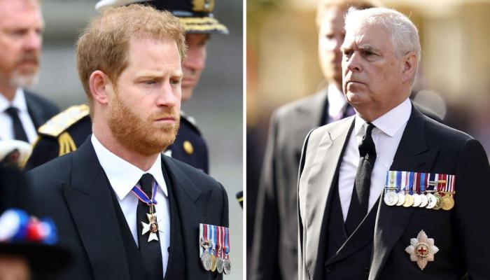 Prince Andrews biographer unfazed by Prince Harrys legal threats