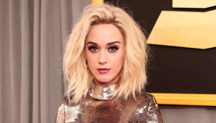 Katy Perry lookalike daughter steals spotlight in jaw-dropping new photo