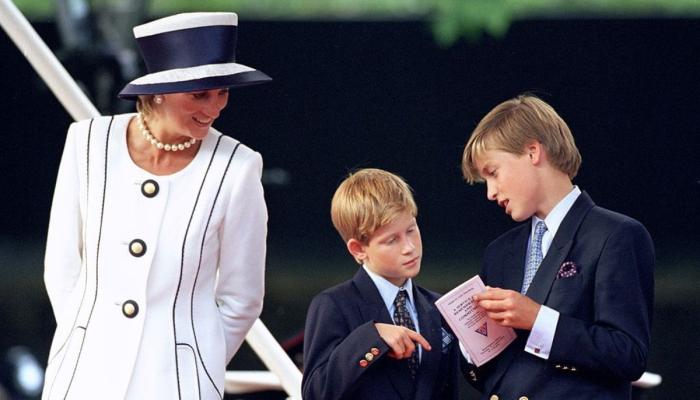 Only Princess Diana could have ended Prince Harry, and Prince Williams feud