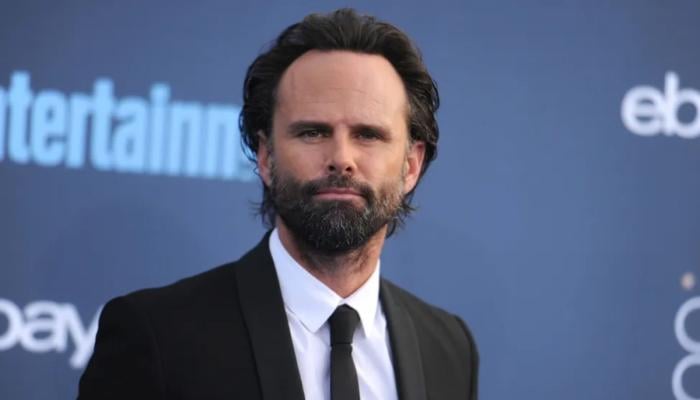 3 hidden gem TV shows to watch if you love Walter Goggins