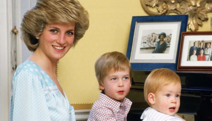 What plans did Princess Diana have for Prince William and Prince Harry?