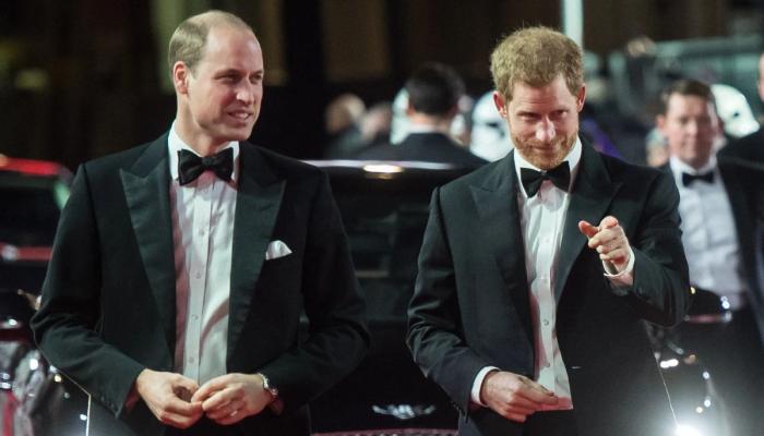 Why Prince Harry was once the medias favourite, and Prince William wasnt