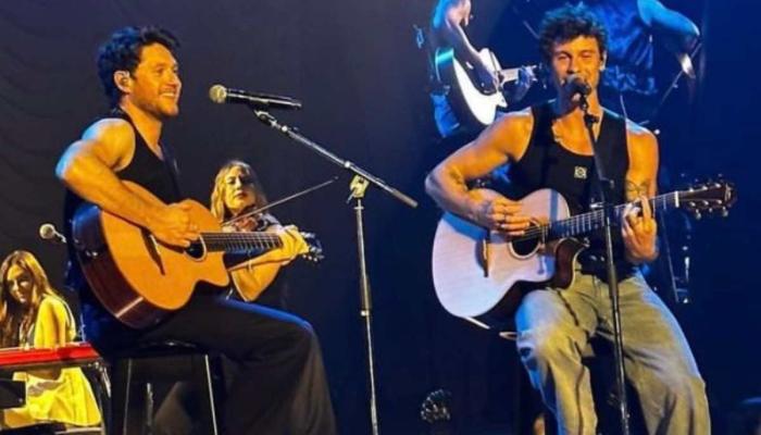 Niall Horan makes surprise appearance at Shawn Mendes London show