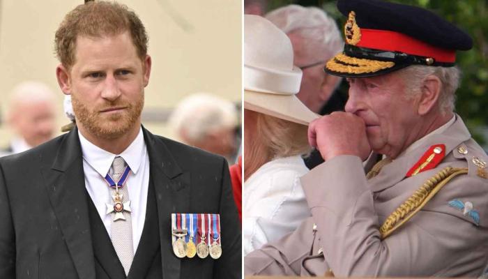 Prince Harry mentions his late grandfather, Prince Philip, as he honours the sacrifices made during WWII