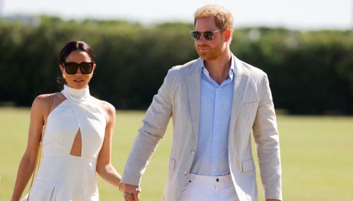 Why Meghan Markle has left Prince Harry alone to fight sensitive charity row