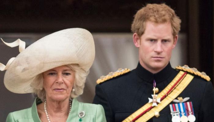 Prince Harrys Camilla claims rejected by staffer who claims they all got along