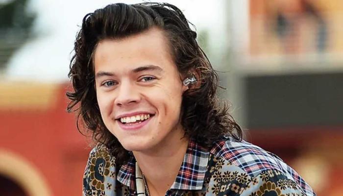 Harry Styles rumoured fourth album leaves fans speculating