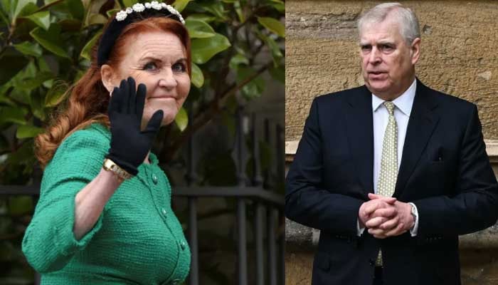 Sarah Ferguson accused of receiving support from Jeffrey Epstein