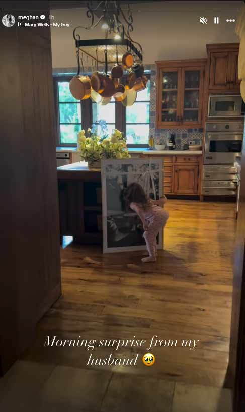 Meghan releases emotional video of daughter after secret third child report