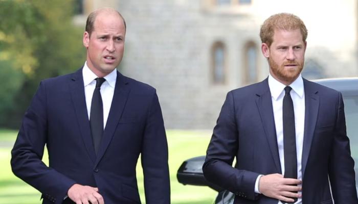 Prince William could view this move by Prince Harry as betrayal