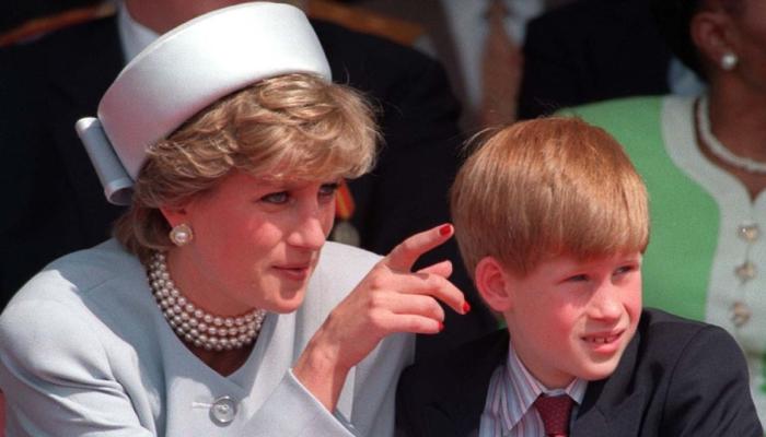 Prince Harry could share his side of Princess Dianas story in Netflix project