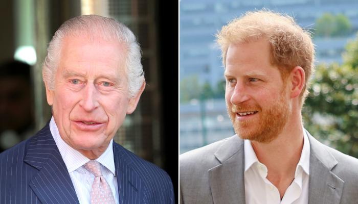 Prince Harry nervous as King Charles meeting looms