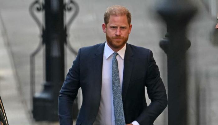 Prince Harrys green travel project rocked by leadership shakeup