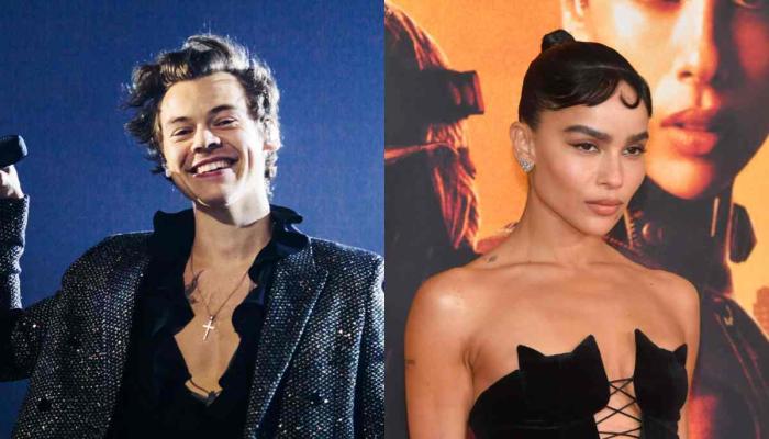 Harry Styles, Zoe Kravitz intimate relationship: Details revealed