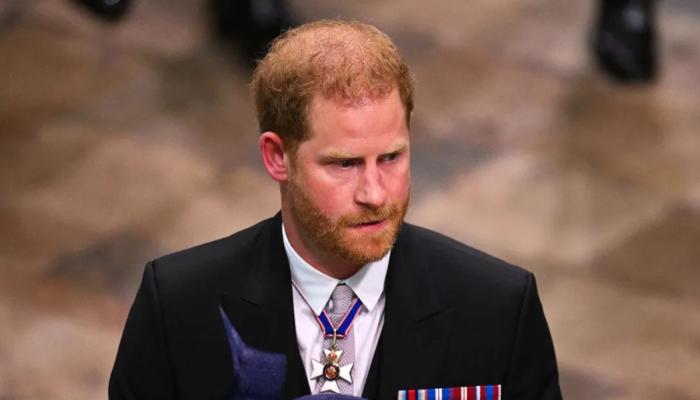 Prince Harry returns to UK: Heres all the royal places he could stay