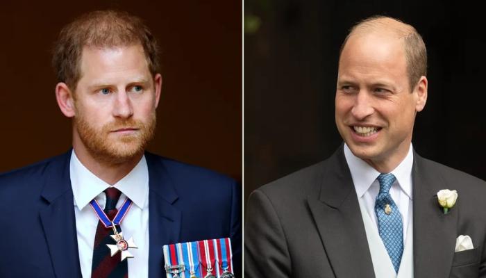 Private meeting between Prince Harry and Prince William revealed by ex-staffer