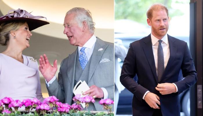 Did King Charles consult with Sophie before meeting Prince Harry?