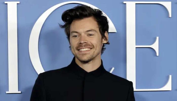 Harry Styles receives fans support after insensitive incident at airport
