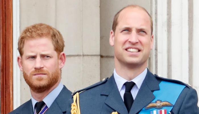 Prince William furious with Prince Harry over recent comment?