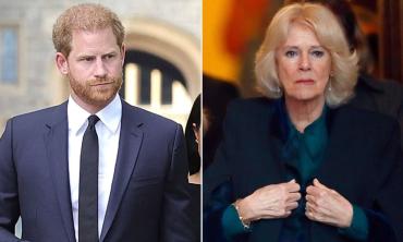 Prince Harry's royal comeback blocked as Camilla 'won't forgive' him