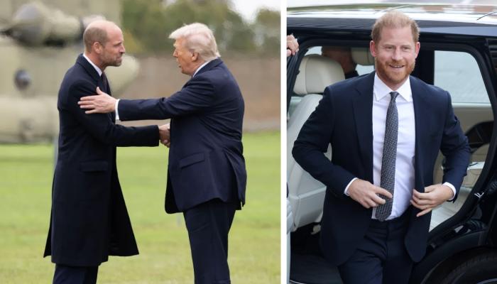 Prince William chose Donald Trump over Prince Harry this week: Heres why