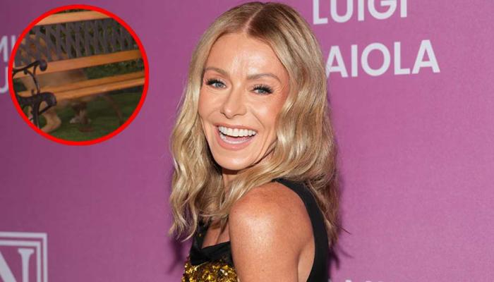 Kelly Ripa faces unexpected on-air moment on live show