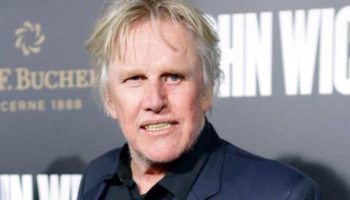 ‘Point Break’ star sentenced to 2 years probation for sex crimes