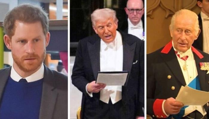 Prince Harry kept promise to King Charles during Trumps UK visit: source