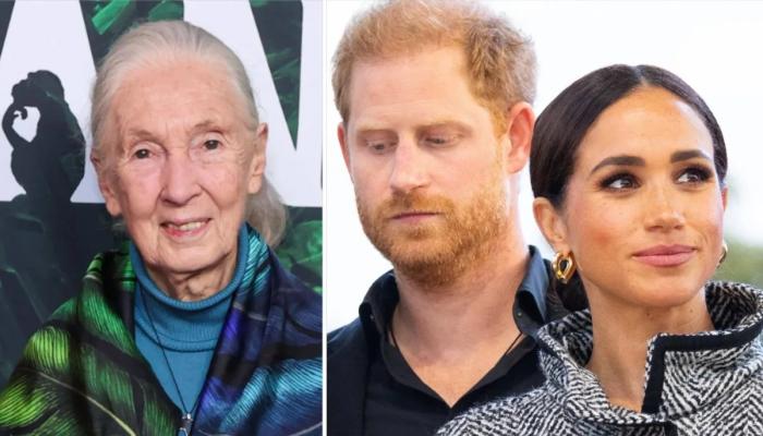 Prince Harry and Meghan remember Jane Goodall’s special bond with Archie