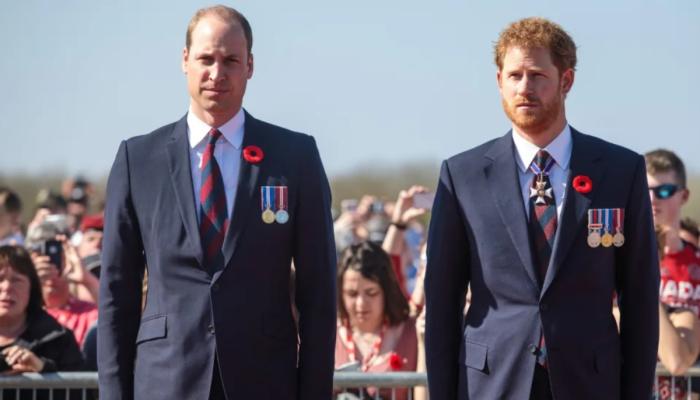 Prince William hints Prince Harry drama is what overwhelms him the most