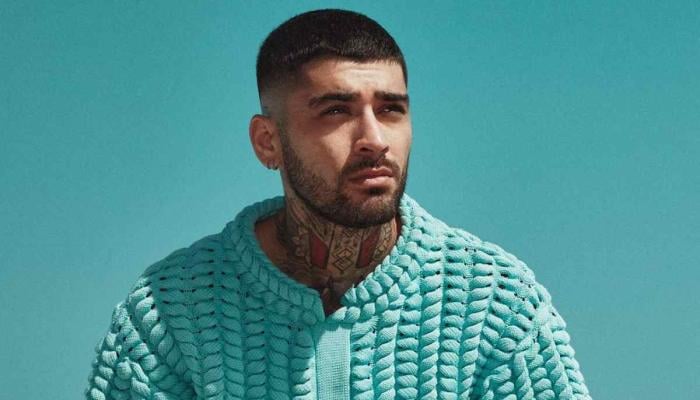 One Direction alum Zayn Maliks cool collaborator finally revealed?
